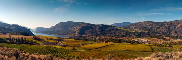 Autumn Over Blue Mountain Vineyard 9547