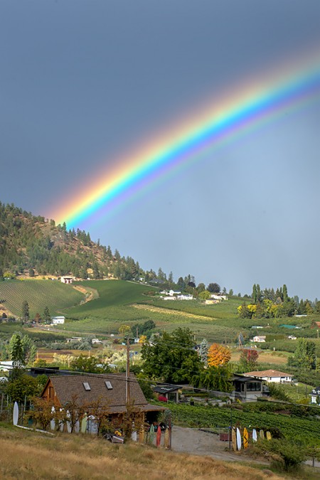 Rural Rainbow 180922-8719