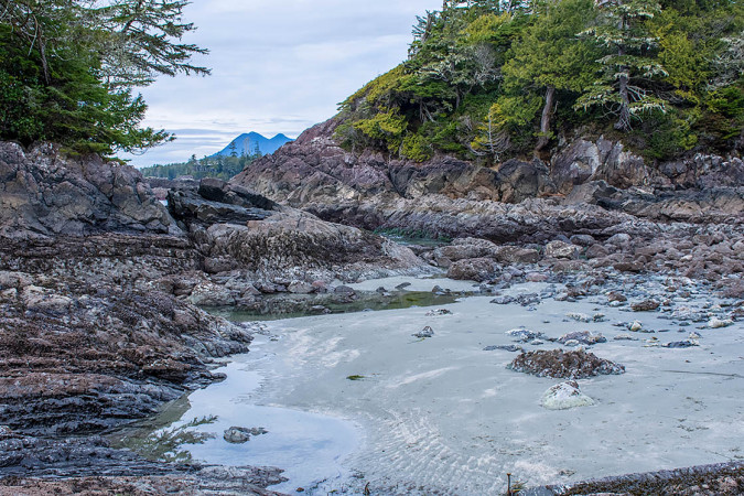 Low Tide, High Life 161225-8974