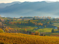 A patchwork of autumn colors along the rolling rural hills south of Osoyoos, BC