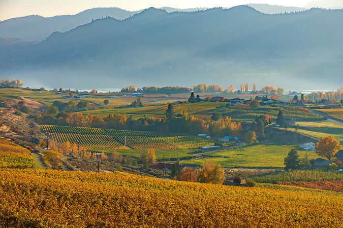 Autumn Quilt Near Osoyoos 181019-4733