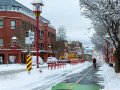 A hearty cyclist pedals along the snow-ploughed bike lane on Pandora Street, Victoria, BC.