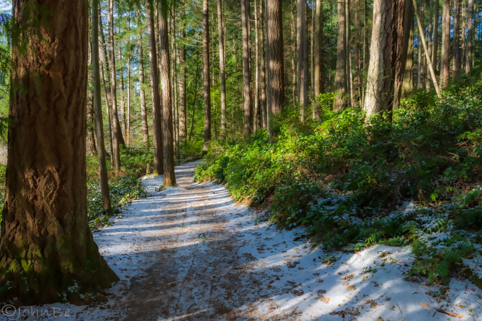 Down The Winter Trail 240113-6333