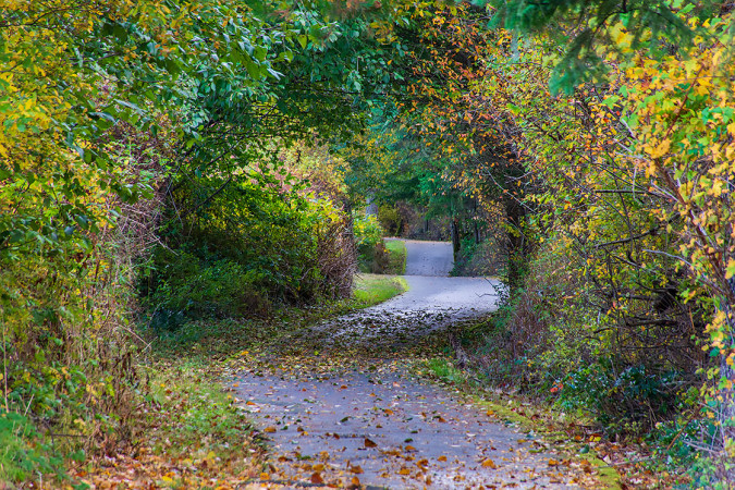 Nanaimo Parkway Trail in Autumn 251026-9605 