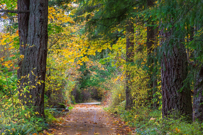 Trail Through The 'Grown Ups' 251026-9750