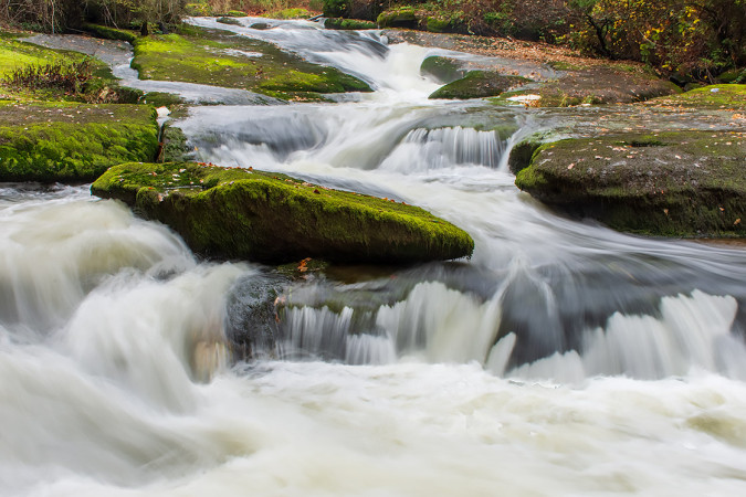 Millstream Flow Through Bowen Park 251115-0358