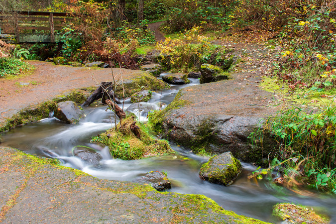 Millstream Tributary in Bowen Park 251115-0403