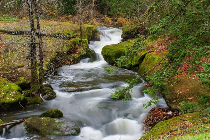 Millstream River 251115-0473
