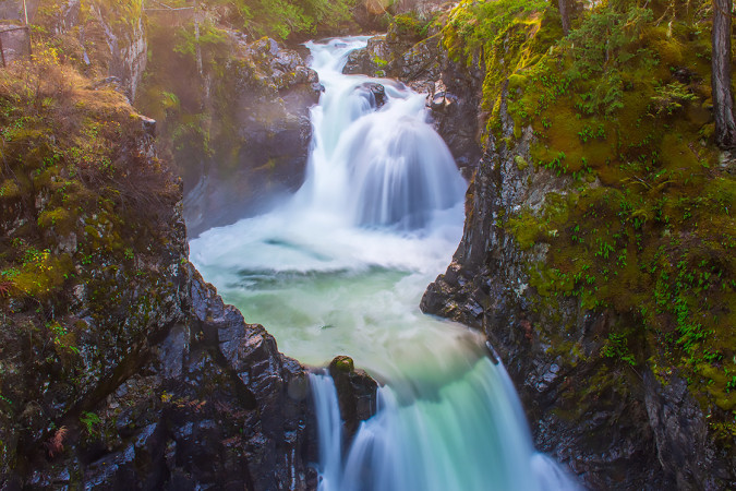 Misty Mystique - Little Qualicum Falls 251207-0695