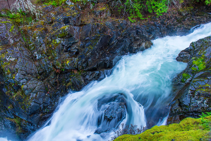 Cold Flow - Little Qualicum Falls 251207-0715