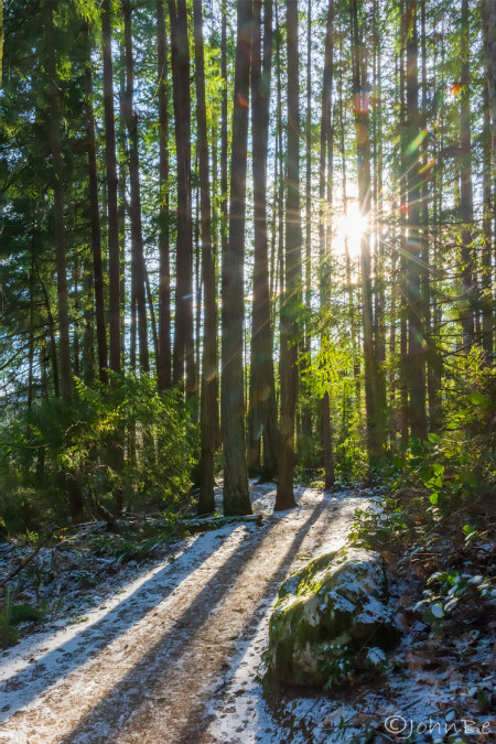 Long Shadows on the Winter Trail 240113-6282