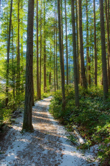 Enlightened Winter Trail 240113-6285