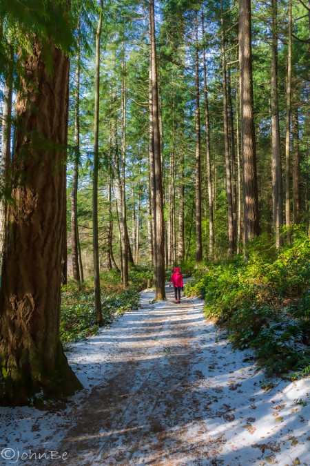 Winter Trail Perspective 240113-6339