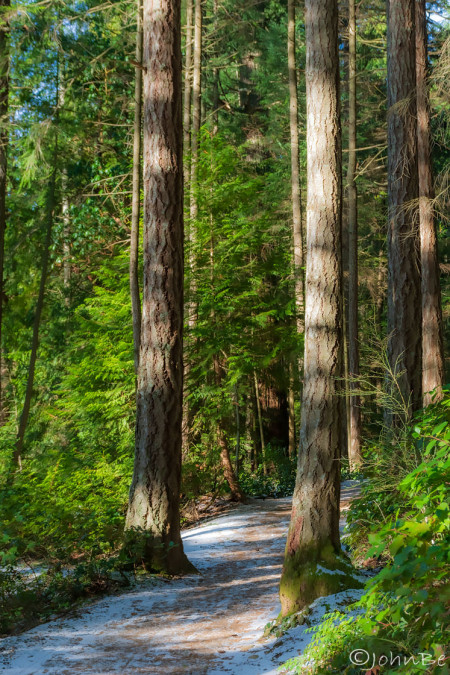 Columns Of Peace 240113-6348